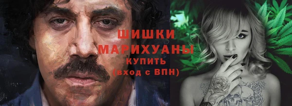 PSILOCYBIN Беломорск