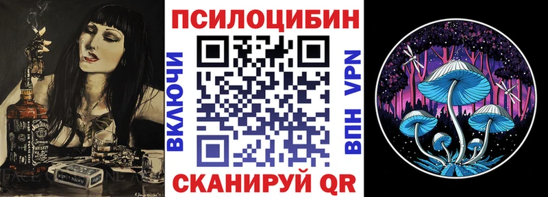 Галлюциногенные грибы прущие грибы  Венёв 